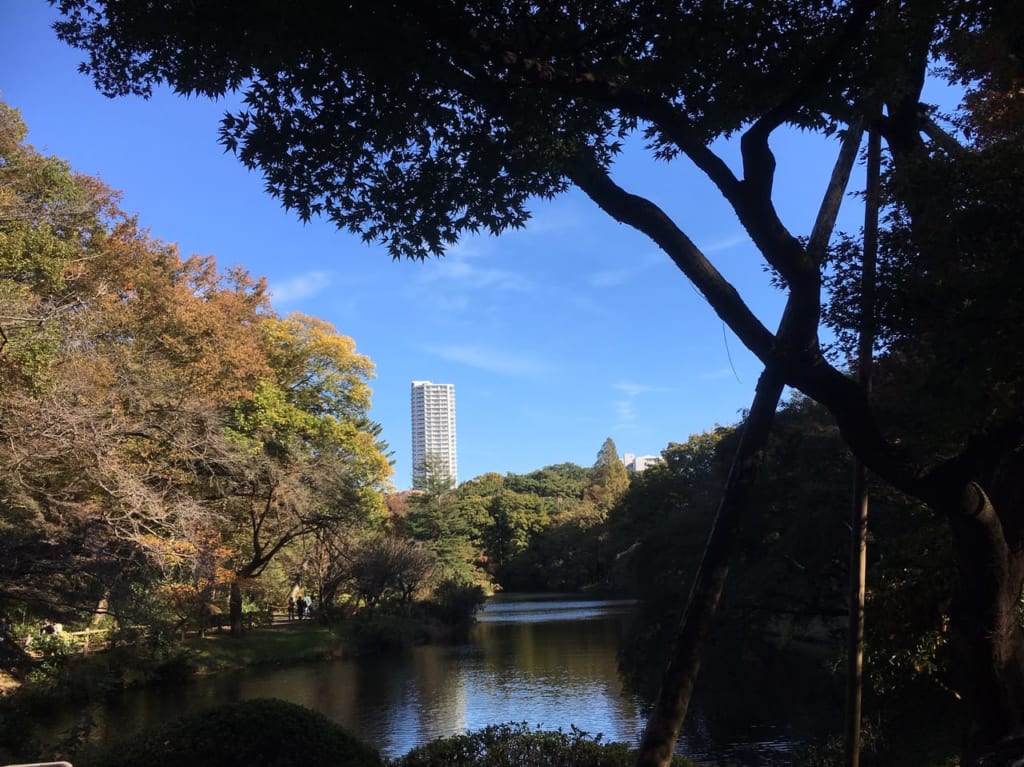 日立中央研究所の春の庭園公開が中止となりました。