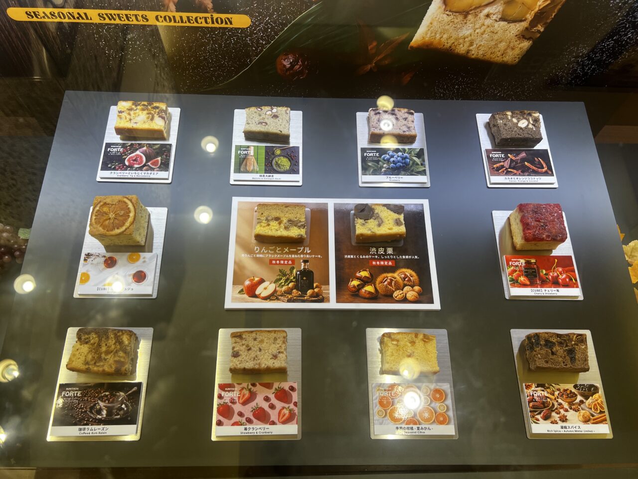 国立フォルテショーケース