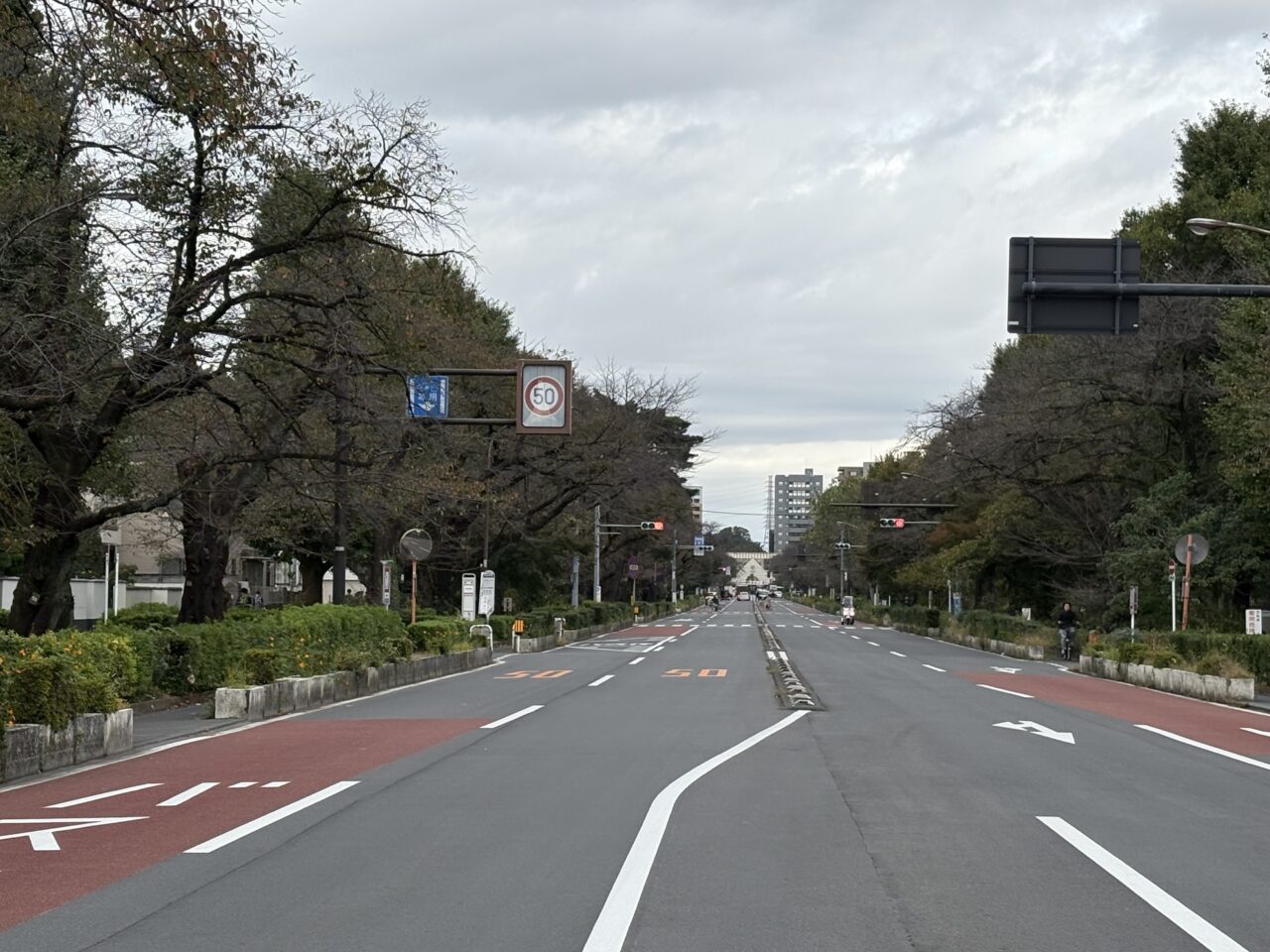 大学通り