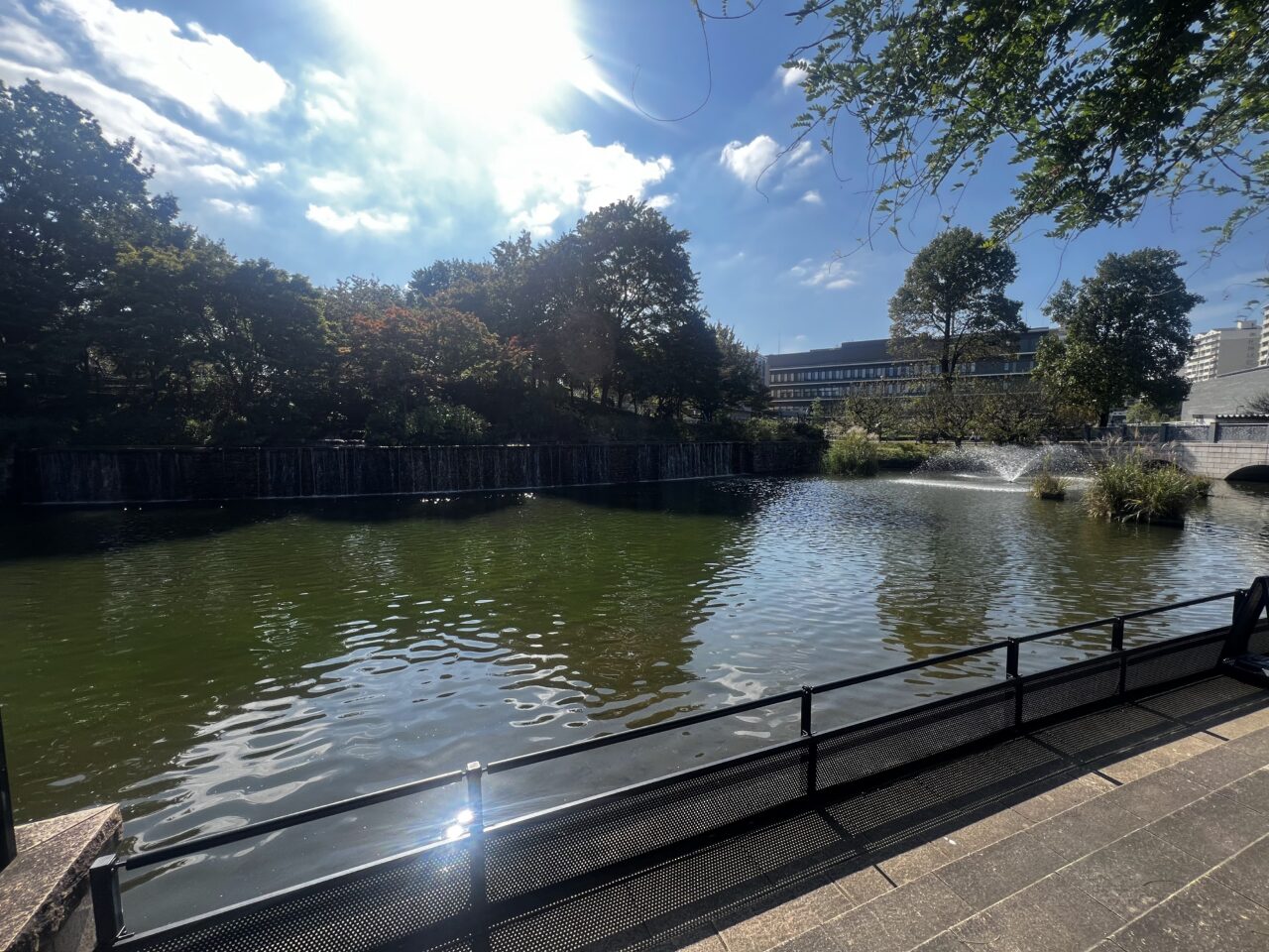 都立武蔵国分寺公園