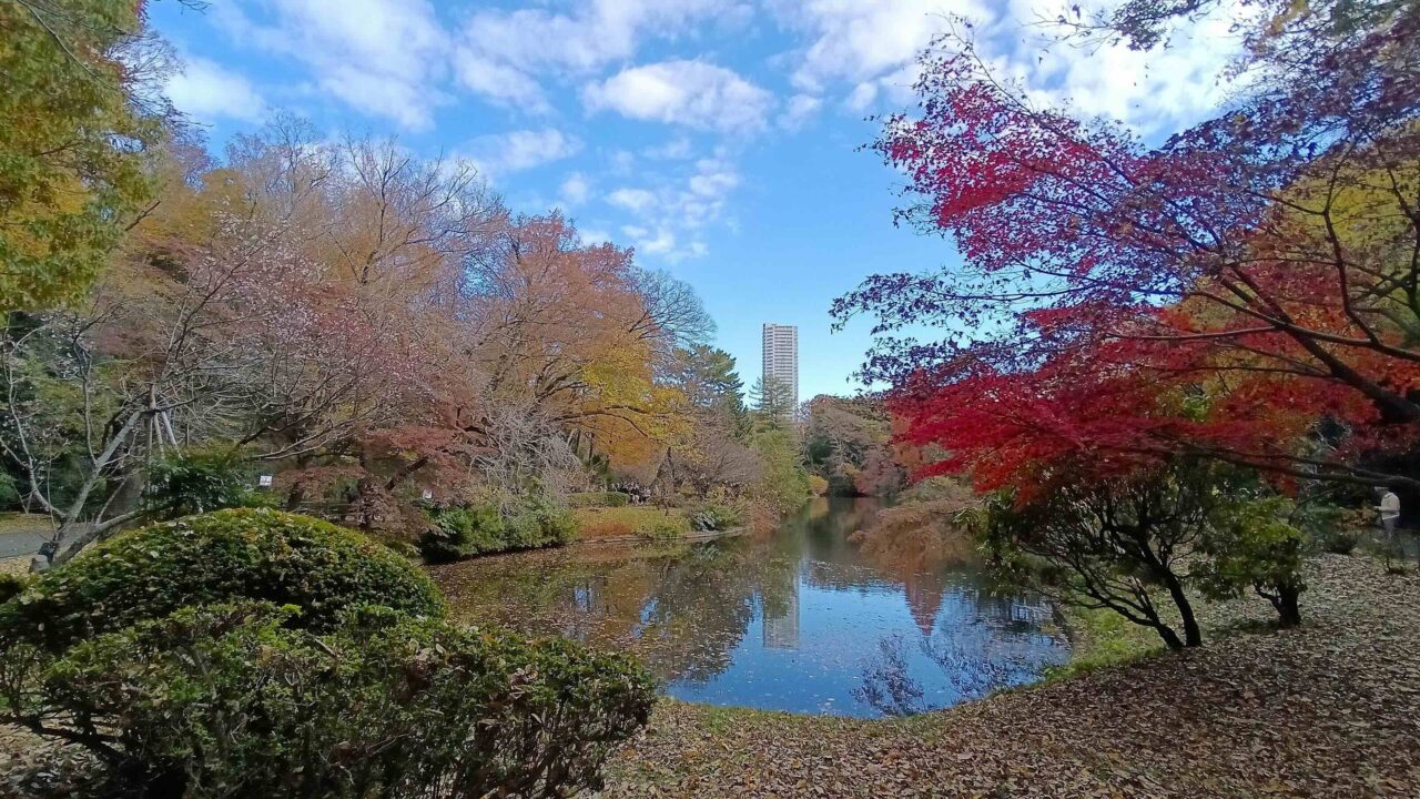 日立中央研究所庭園