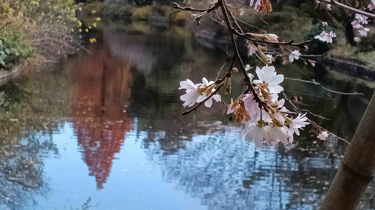 日立中央研究所庭園