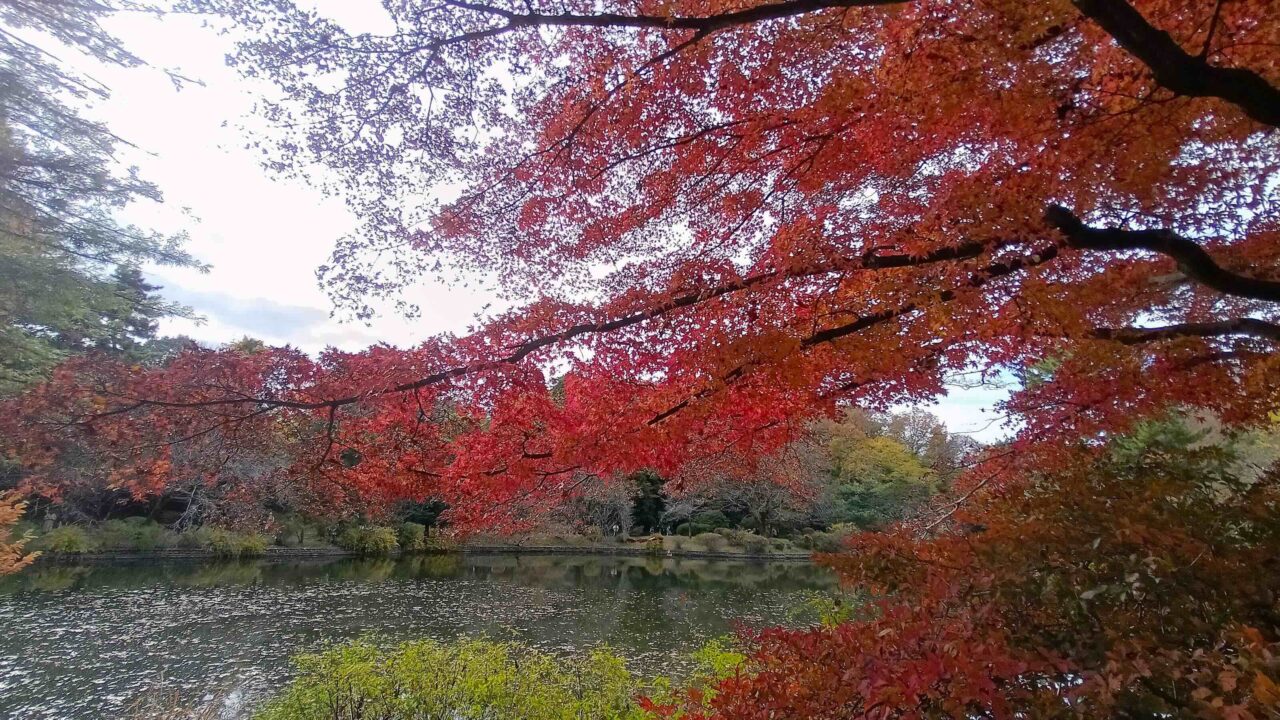 日立中央研究所庭園